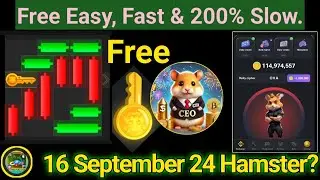 Hamster Mini Game | 16 September 24 Cipher Code| Hamster Daily Rewards | Badhyaa Crypto | In Urdu |