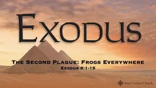 The Second Plague:  Frogs Everywhere