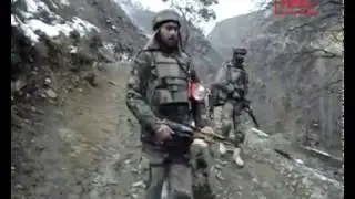 Kalaroos Witness To An Ongoing Encounter