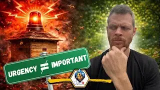 Почему пчеловоды не решают нужные проблемы