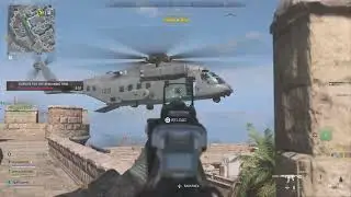 Big Bird down