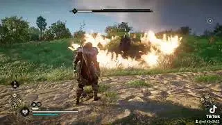ac valhalla. zealot fight!