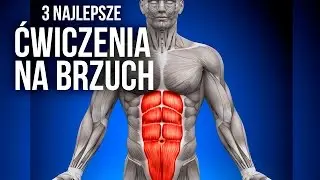 TRENING BRZUCHA - 3 NAJLEPSZE ĆWICZENIA / JAK TRENOWAĆ BRZUCH?