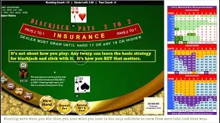 Beating Blackjack 3 shoes and a deadly house edge overcome by smart betting and a bleepload of money