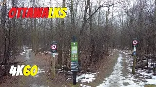 Dewberry Trail Walk - Orl&eacute;ans, Ontario - ASMR, Virtual Ottawa Walking Tour on December 1, 2020 4K60
