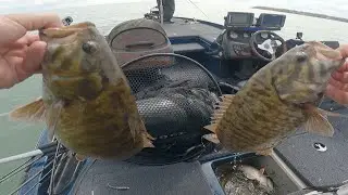 Bass Tournament #1 || West Harbor - Lake Erie