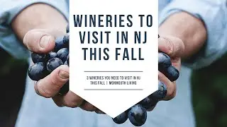 WINERIES TO VISIT IN NJ THIS FALL | MONMOUTH LIVING