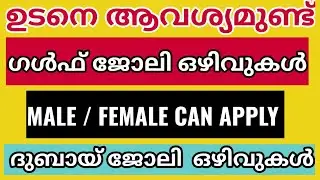 Gulf jobs Malayalam, Job Vacancy 2022, Gulf Job vacancy 2022, Education Channel Malayalam, Dubai job