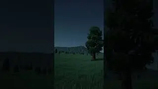 The Solitude of the Tree: An Infinite Field Under the Stars #Shorts