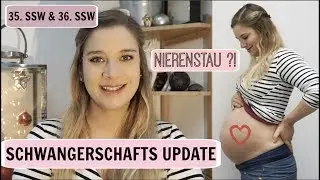 SCHWANGERSCHAFTS UPDATE l SSW 35 + SSW 36 l NIERENSTAU l CTG l HelloCathi