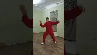 Тай цзи цюань Ян стиль, 8 форм.Tai chi quan Yang style, 8 form.