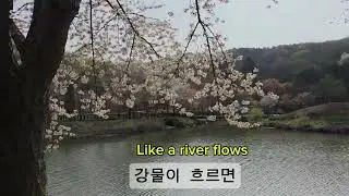 Can't help falling in love  ~♡ 알토 색소폰 연주 ♡~ 멋진여사 