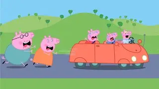 What Happened?? Evie Pig Drives A Car?? - Peppa Funny Animation