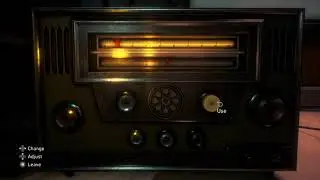 Conarium Radio Solution