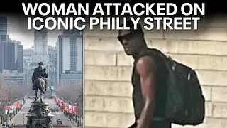 Woman tackled, punched on Benjamin Franklin Parkway in Philadelphia