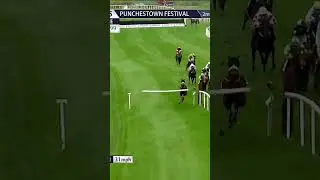 That's one way to jump an obstacle! #horse #horseracing #sport #britishhorseracing #racingtv