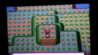 Pokemon Platinum Oak's Letter Event (Part 1)