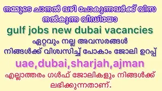 gulf job കിട്ടും ഉറപ്പ് । വിസ വന്നവർക്ക് വിസ നൽകുന്ന വീഡിയോ സഹിതം । cv അയക്കൂ ജോലി ഉറപ്പാക്കൂ ।