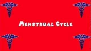 Pronounce Medical Words ― Menstrual Cycle