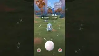 *NEW* SHINY FRIGIBAX CAUGHT IN POK&Eacute;MON GO FEST 2025! ✨
