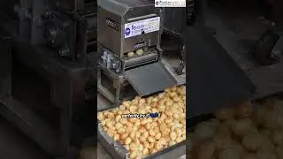 Panipuri Fryer with Dryer Machine | Fast & Hygienic Frying for Business