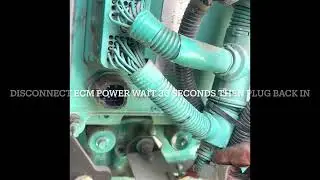Cummins generator with 2x. Fault code 1117 reset.
