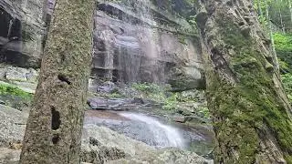 Sugar glider in Tennessee Mountains #hiking #cute #fun #project #camping #Tennessee #waterfalls 