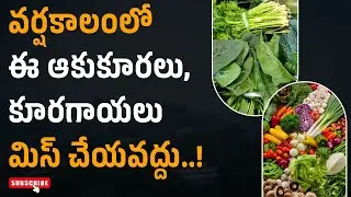 Don't miss these greens and vegetables during the Rain season..!