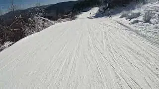 The Wilmington Trail 🟦 - Whiteface NY