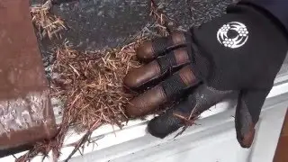 Gutter Helmet versus Gutterglove Pro gutter guard Part 2 of 2