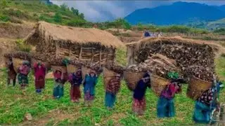 Real Nepali Mountain Village Life in the Rain 🌧️ | Peaceful Rural Lifestyle & Organic Food Cooking 