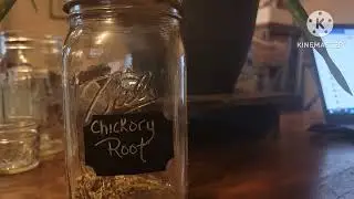 My Apothecary A-Z: Chicory Root