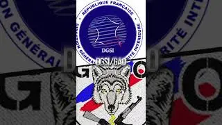 GAO/DGSI