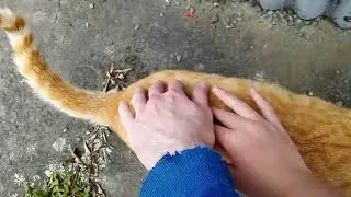 GINGER VLOG!!!!! 5 LIKES FOR PART 2 :)!!!!!! 