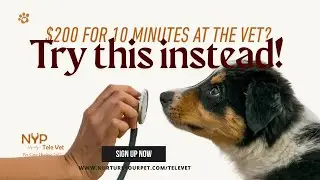 24/7 Online Vet Consultation for Your Pet &mdash; Get Instant Help with NYP TeleVet