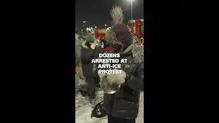 Dozens arrested at anti-ICE protest