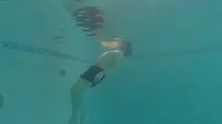 Orca Swim School