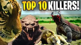 Title: The Top 10 Deadliest Animals in the World.