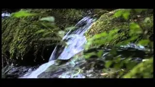 Vittorio Veneto - Sorgenti del Meschio