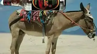 adamos TV