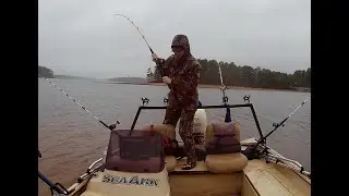 Catfishing in Tropical Storm Francine