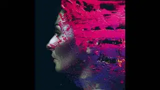 Steven Wilson - 