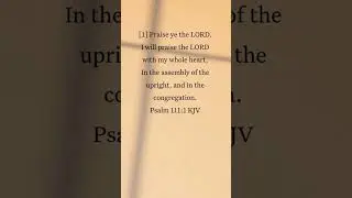 BIBLE AUDIO PSALM 111:1 || God's Word - Bible Stories #Shorts