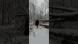 Relaxare &icirc;n Pădurea Trivale