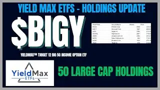 Target 12 YieldMax ETF $BIGY HOLDINGS Update - Are You A Fan of their Strategy?