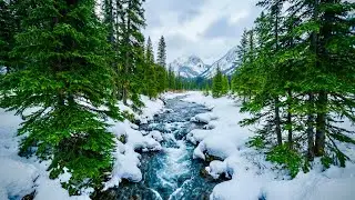 Pure Nature Flow for Deep Focus & Stress Relief