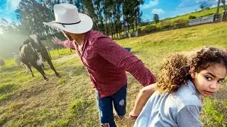 A VACA VEIO PRA CIMA DE MIM 😱* fim da temporada fazenda Blackstone