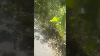 перспективні професії