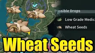 How to find wheat seeds! Palworld tips