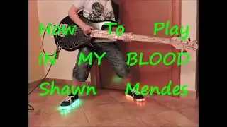Shawn Mendes - In My Blood (BASS HOW TO PLAY LESSON COVER)